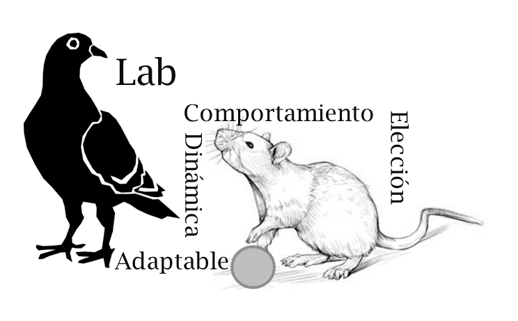 Laboratorio LCADE